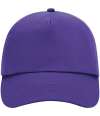B10 Colours Cap Purple colour image